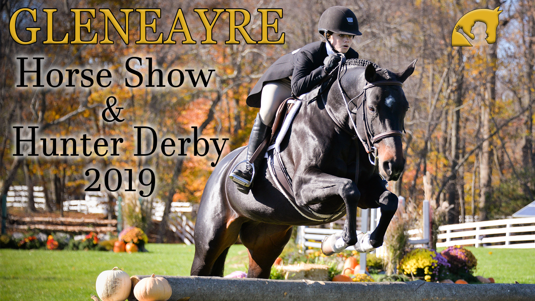 2019 Gleneayre Horse Show And Hunter Derby Gleneayre Equestrian Program
