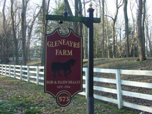 Gleneayre Farm (8)