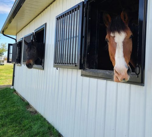 Stable (1)